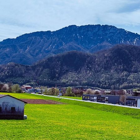 Zentrale Wohnung Mit Alpenblick Micheldorf in Oberosterreich Exterior foto