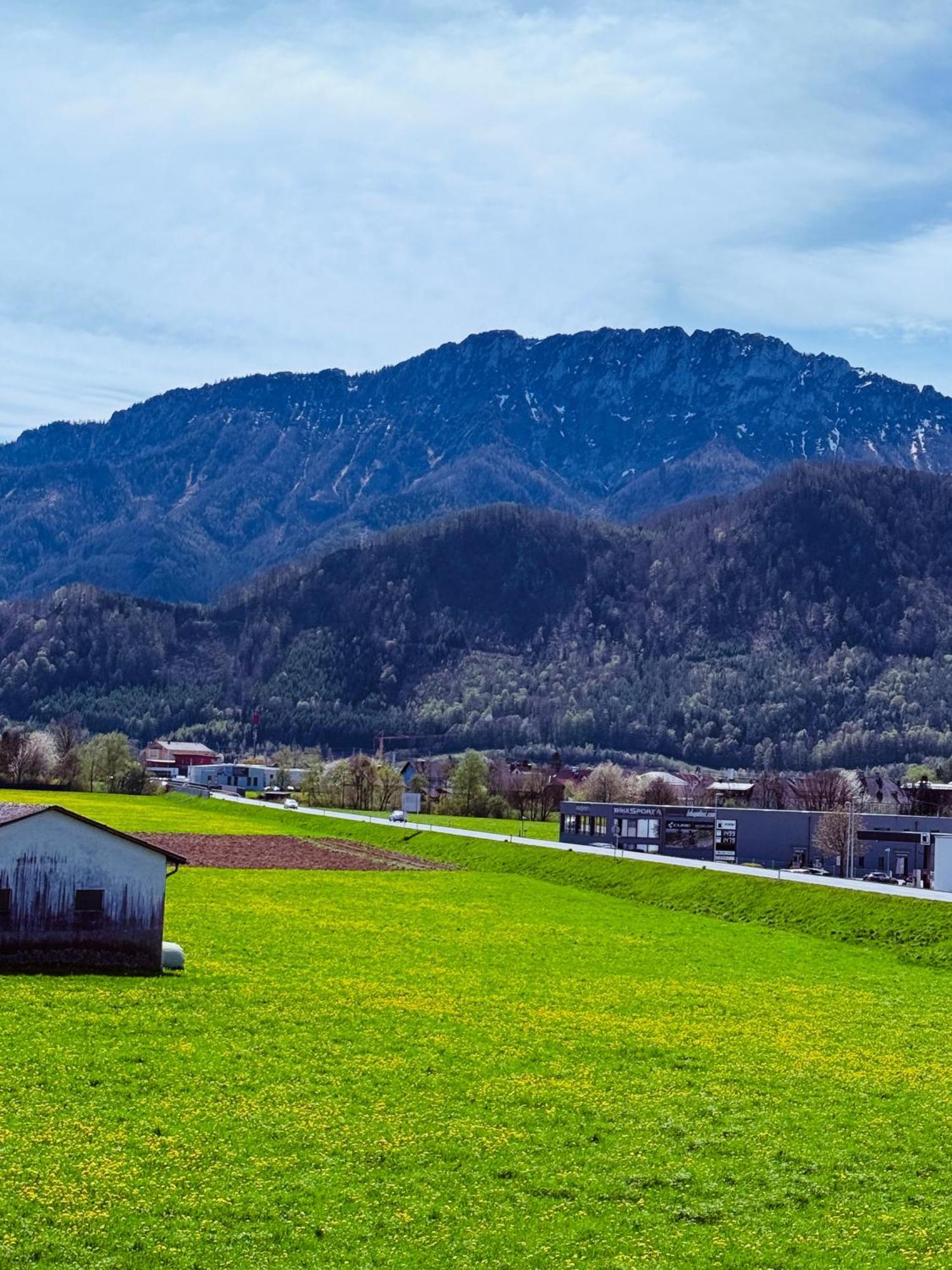 Zentrale Wohnung Mit Alpenblick Micheldorf in Oberosterreich Exterior foto